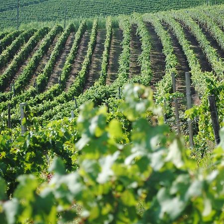 Willa Cascina Dani Agliano Terme Zewnętrze zdjęcie